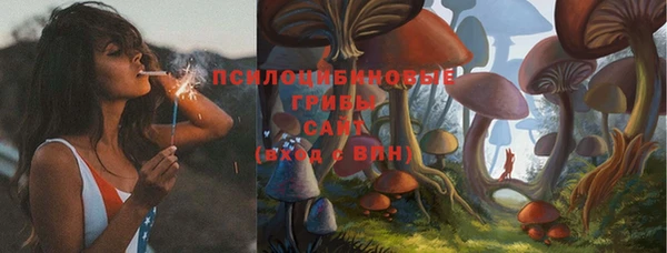 прущая мука Щучье