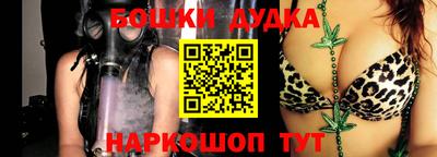 амф Обь