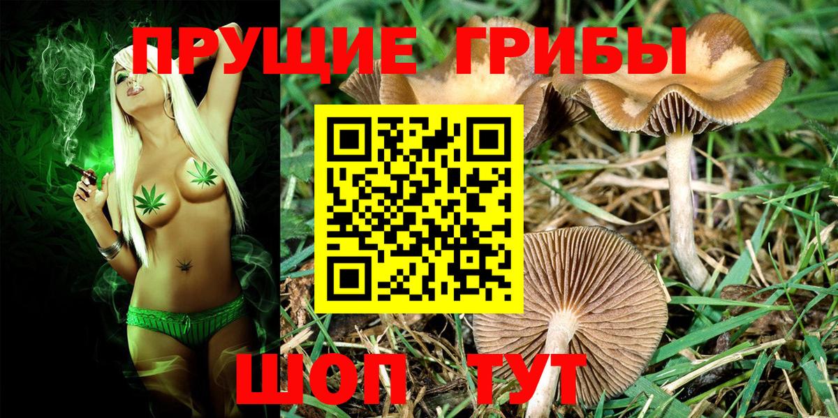 Галлюциногенные грибы Cubensis  Вход с VPN  Омск 